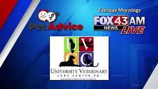 Pet Advice