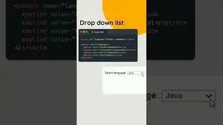 How To Make Drop Down Menu Using HTML And CSS | HTML Website Tutorials