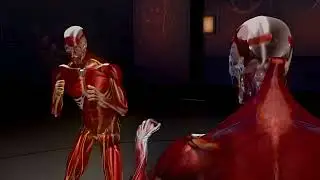 Knockout in 4K