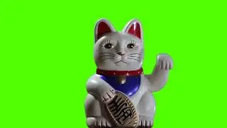 robot cat Animation on green screen