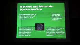 Kayla Smith Thesis Defense Part 4 of 6