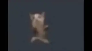 кот амики та ни роую баби