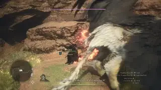 Dragon's Dogma 2 my party x griffin