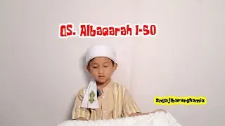 Surah Al-Baqarah ayat 1 sd 50 #ngajibarenghamiz #ngajibarenganak4tahun