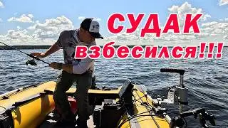 ЛОВЛЯ СУДАКА СРЕДЬ БЕЛА ДНЯ!!! РЫБАЛКА С Panoptix LiveScope!!!
