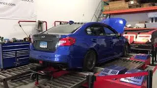 2017 WRX CVT Stage 3 Dyno Pull- 300+ whp 370+ tq