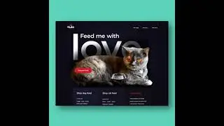 Create a website with Animated Cat Point Mouse Cursor 