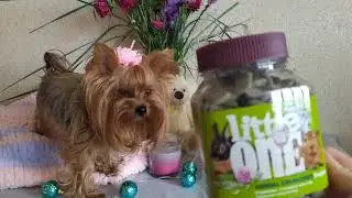 Покупки для животных