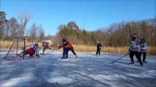 Pond Hockey Glove Save