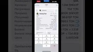 Snoop Ton Airdrop Fest - Как победить