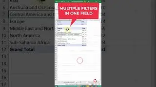 Multiple Filters in a Pivot Table Field