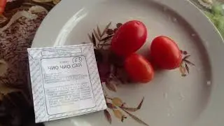 Томат 