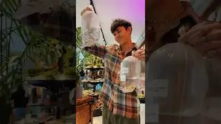 Куда исчезают рыбки? 