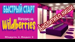 Быстрый старт с Wildberries. Таргет-Ретаргет WB | Аналитика ниши