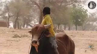 N° 879 (Niger; Zinder 02.2018)