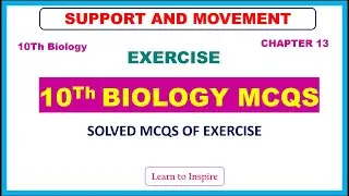 Support and Movement Exercise MCQS.