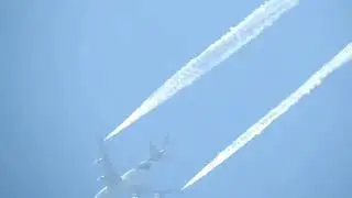 Bakınız zehiri nereden saçıyor!