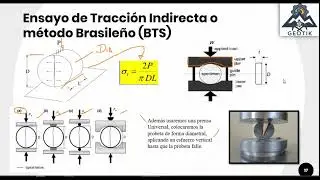 Ensayo Brasileño
