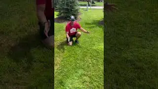 WHAT IS THE DIFFERENCE BETWEEN AN ORGANIC LAWN AND A SYNTHETIC LAWN?