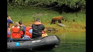 Alaska Photo Expedition with Nat Geo Experts