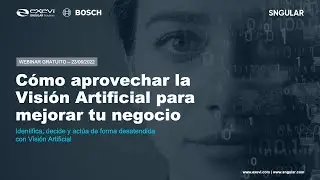 Cómo aprovechar la Visión Artificial para mejorar tu negocio