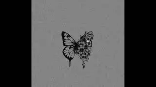 butterfly ft.Crappy