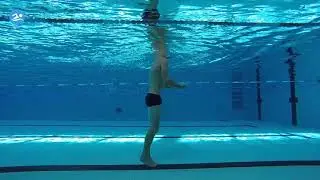 Etape 2 : Faire un plongeon canard