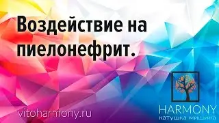 32  Воздействие на пиелонефрит