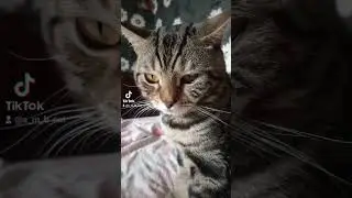 Ох,ці Люди😛 