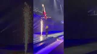 THE SHOWMAN