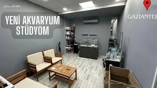YENİ AKVARYUM STÜDYO TURU #akvaryum #bitkiliakvaryum