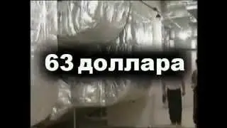 Как заработать в интернете?