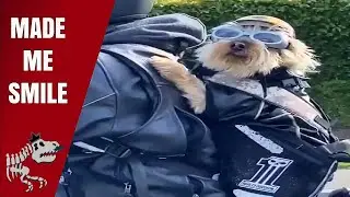 Awesome Made Me Smile {Is Too Cute} Compilation, 7