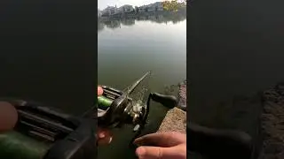 4 piece 8 5in homemade  swimabait   #fishing