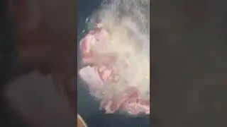 Настоящий узбекский чайхана казан кабаб на костре!! будет очень вкусно и быстро🤔🤔🤗 😋😋👍👍