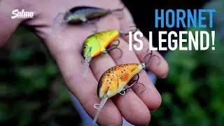A CLASSIC CRANKBAIT | The Salmo Hornet is a legendary crankbait