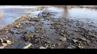 Степное  р. Курасан 4.04.2024г.