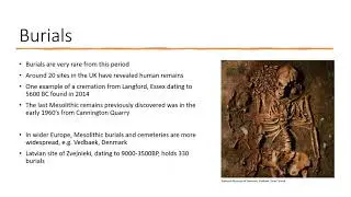 Mesolithic Britain: The Prehistoric ‘Dark Age’?