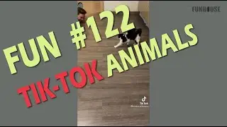 Fun Tik-Tok #122 Trend | Funhouse off , fails | Тик-Ток тренд, неудачи, приколы, смешное видео
