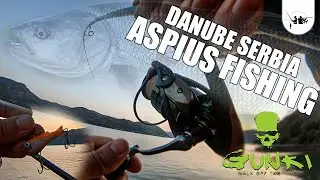 PECANJE BUCOVA na GLAVINJARU 🎣🐟