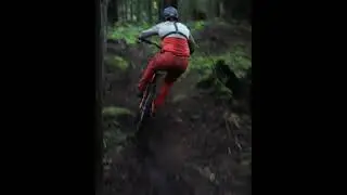 My secret favorite trait for a bike...