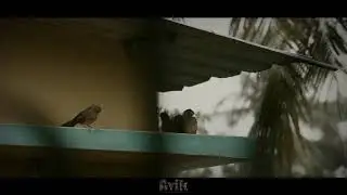 Glimpse of A Rainy Day 🌧️
