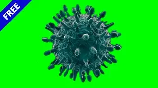 CoronaVirus ZOOM Green Screen Animations (No Copyright/Free)