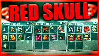 😱 LEVEL 70 SOLANDO 3 RED SKULL da DOMINANTE em ALUMBRA [Um deles CAIU na TRAP] Tibia PK