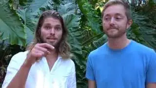 Studio Sage Real Estate