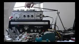 Nikolaienko - ExotiCon (Live version)