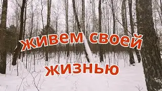 45 серия. БРОСИЛИ ВСЕ, УЕХАЛИ ЖИТЬ В ДЕРЕВНЮ. Московская сторожевая копирует поведение. 