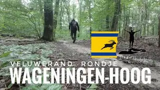 Veluwerand rondje Wageningen-Hoog