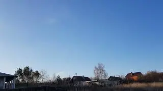 Толи гуси то ли утки 🤣🤣🤣