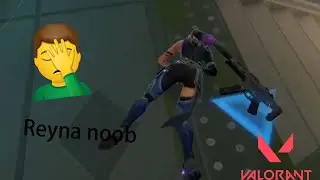 Noob Reyna (Valorant)